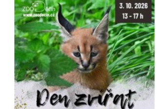 Oslavte v děčínské zoologické zahradě Den zvířat