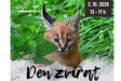 Oslavte v děčínské zoologické zahradě Den zvířat Oslavte v děčínské zoologické zahradě Den zvířat