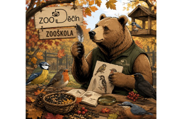 Září patří ptákům a školákům. Zoo Děčín zve děti na Ptačí podzim