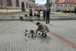 Vzniká digitální dvojče kostela v Mostě